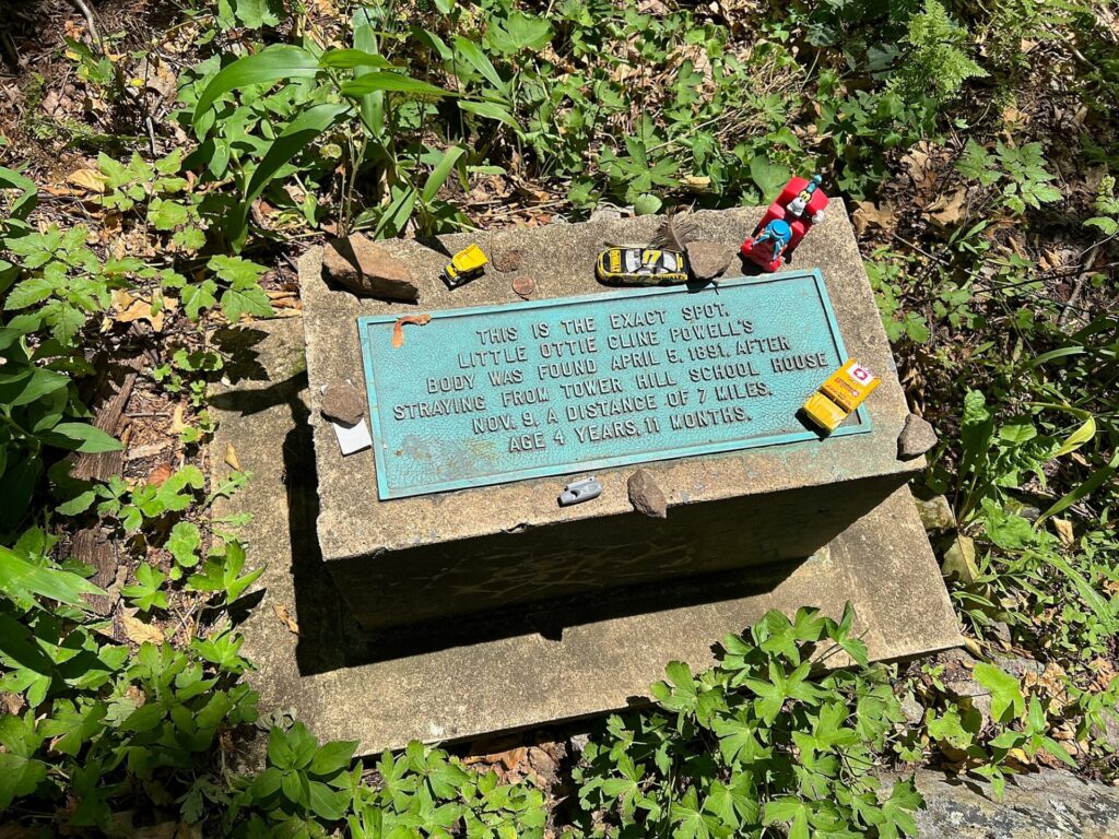Appalachian Trail Journal Week 13: 800 Miles, Virginia Views & Big Decisions 43 IMG 0731 Memorial for Lost Boy on Trail