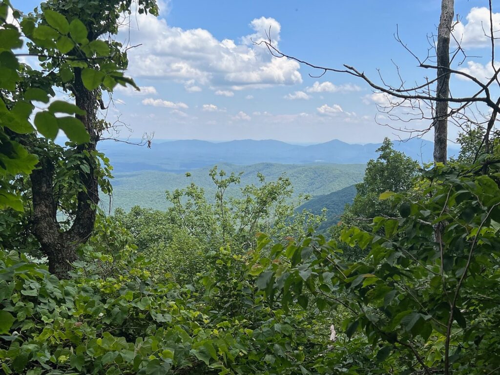 Appalachian Trail Journal Week 13: 800 Miles, Virginia Views & Big Decisions 44 IMG 0733 AT in VA
