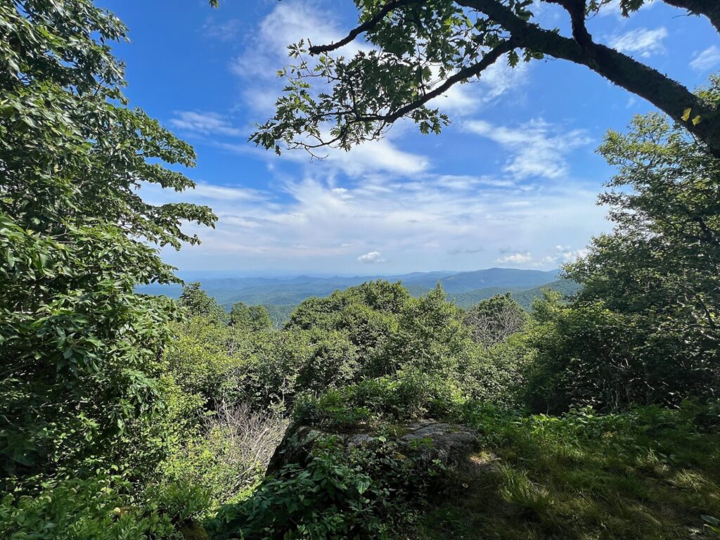 Appalachian Trail Journal Week 13: 800 Miles, Virginia Views & Big Decisions 56 IMG 0778 AT view