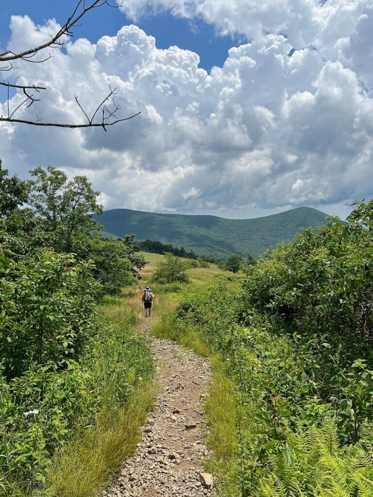 Appalachian Trail Journal Week 13: 800 Miles, Virginia Views & Big Decisions 61 IMG 0800 Barrett hiking the AT