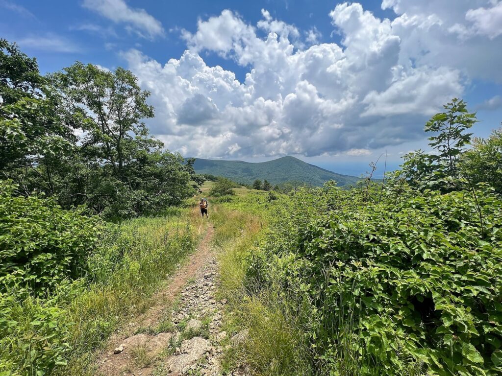 Appalachian Trail Journal Week 13: 800 Miles, Virginia Views & Big Decisions 62 IMG 0801 Barrett on the AT in VA