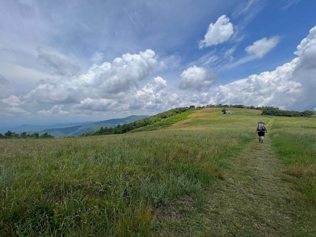Appalachian Trail Journal Week 13: 800 Miles, Virginia Views & Big Decisions 63 IMG 0807 Barrett on the AT in VA