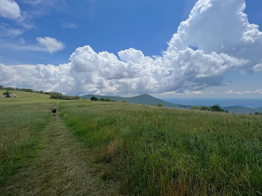 Appalachian Trail Journal Week 13: 800 Miles, Virginia Views & Big Decisions 64 IMG 0810 Barrett on the AT