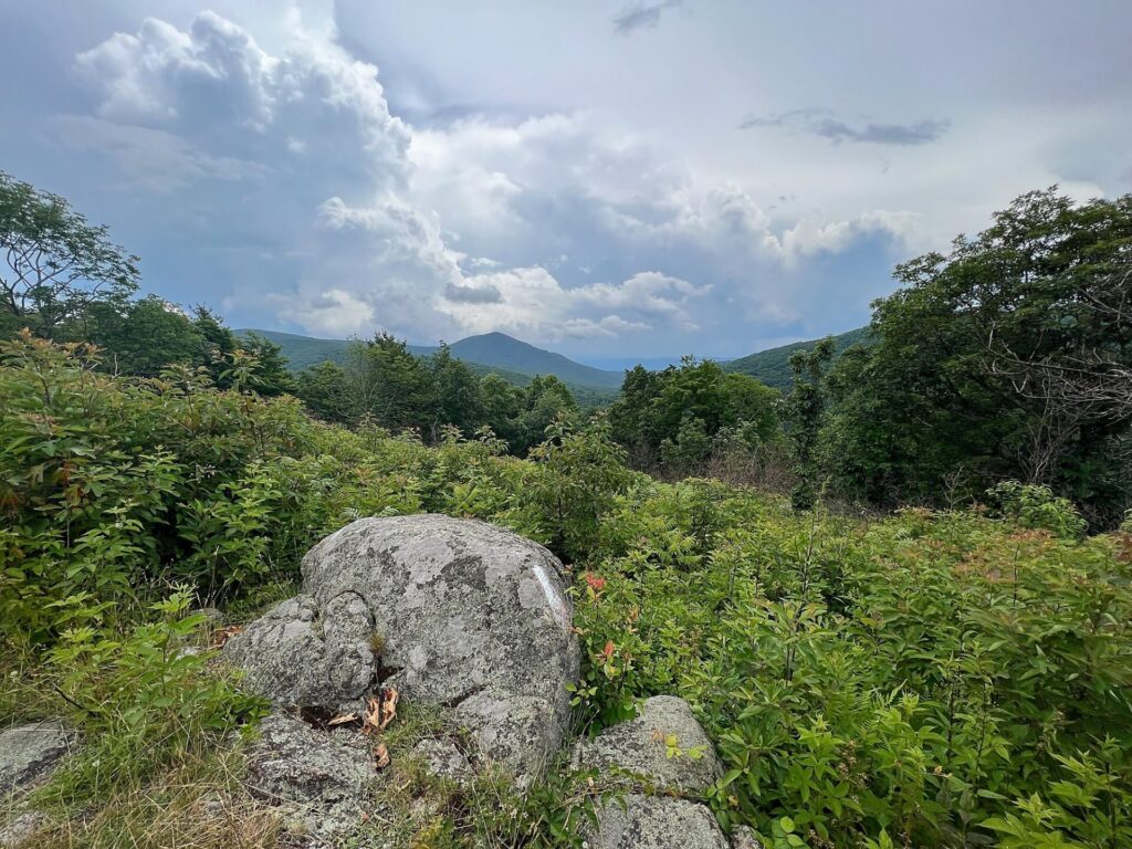 Appalachian Trail Journal Week 13: 800 Miles, Virginia Views & Big Decisions 65 IMG 0816. AT view in VAjpg