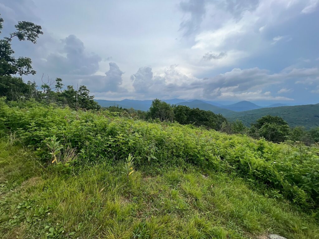 Appalachian Trail Journal Week 13: 800 Miles, Virginia Views & Big Decisions 66 IMG 0817 AT view in VA