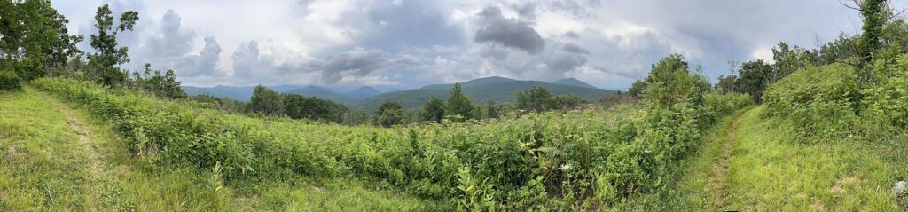 Appalachian Trail Journal Week 13: 800 Miles, Virginia Views & Big Decisions 68 IMG 0821 AT view in VA