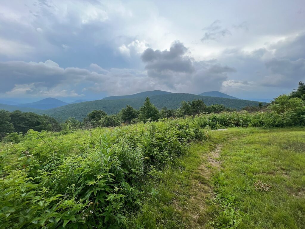 Appalachian Trail Journal Week 13: 800 Miles, Virginia Views & Big Decisions 67 IMG 0825 AT view in VA