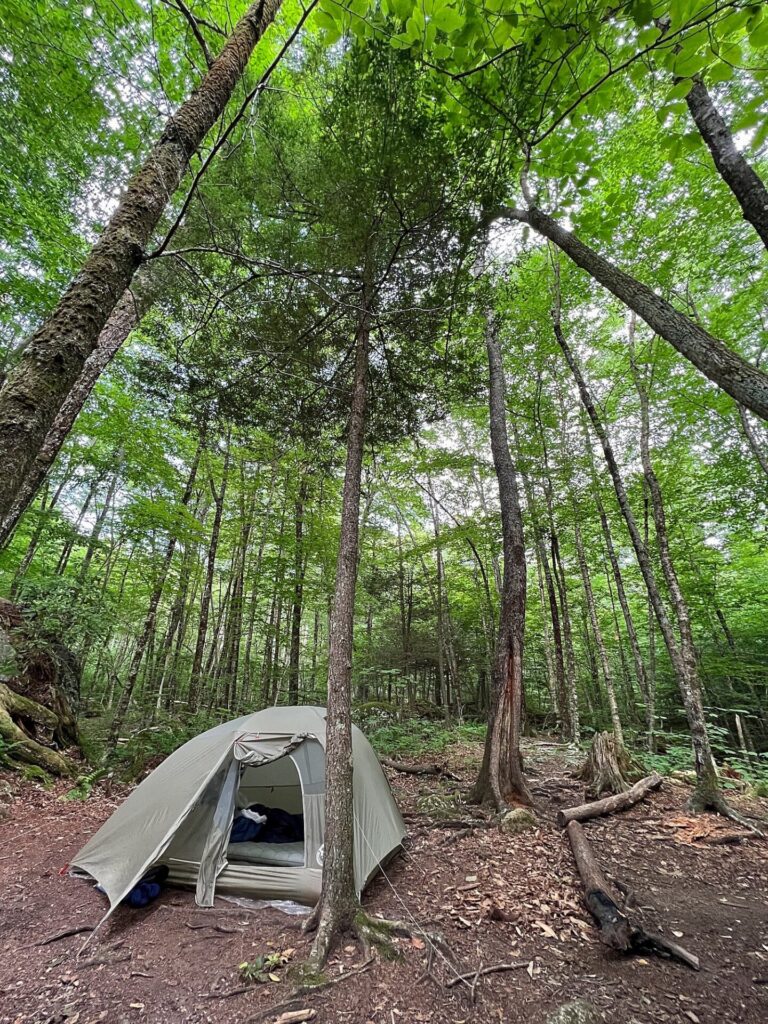 Appalachian Trail Journal Week 13: 800 Miles, Virginia Views & Big Decisions 70 IMG 0854 Tent on the AT