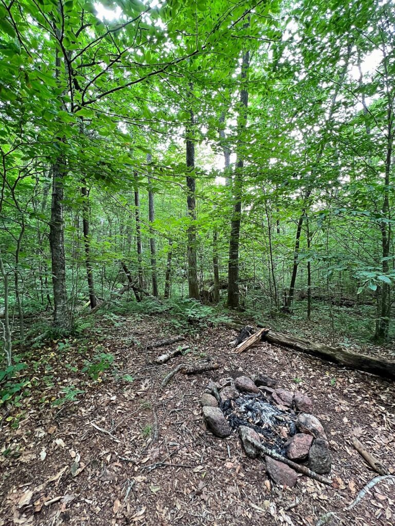 Appalachian Trail Journal Week 13: 800 Miles, Virginia Views & Big Decisions 71 IMG 0861 AT Firepit