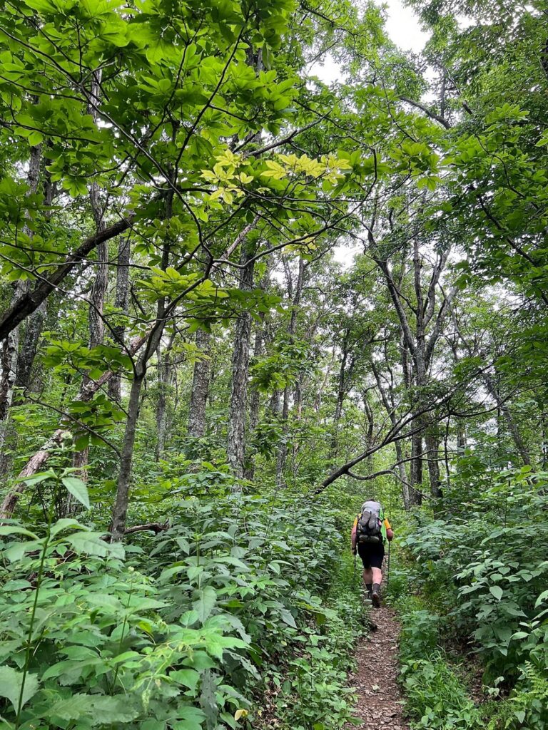 Appalachian Trail Journal Week 13: 800 Miles, Virginia Views & Big Decisions 80 IMG 0920 Barrett on AT