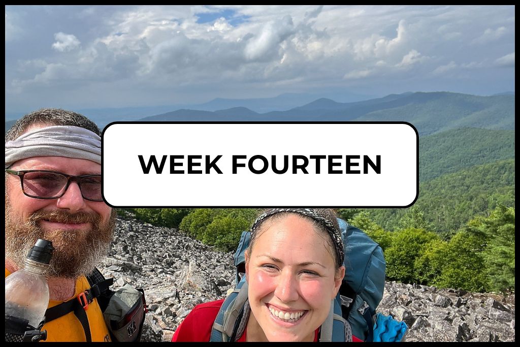 Pillar Picture for AT Journals_Week 14