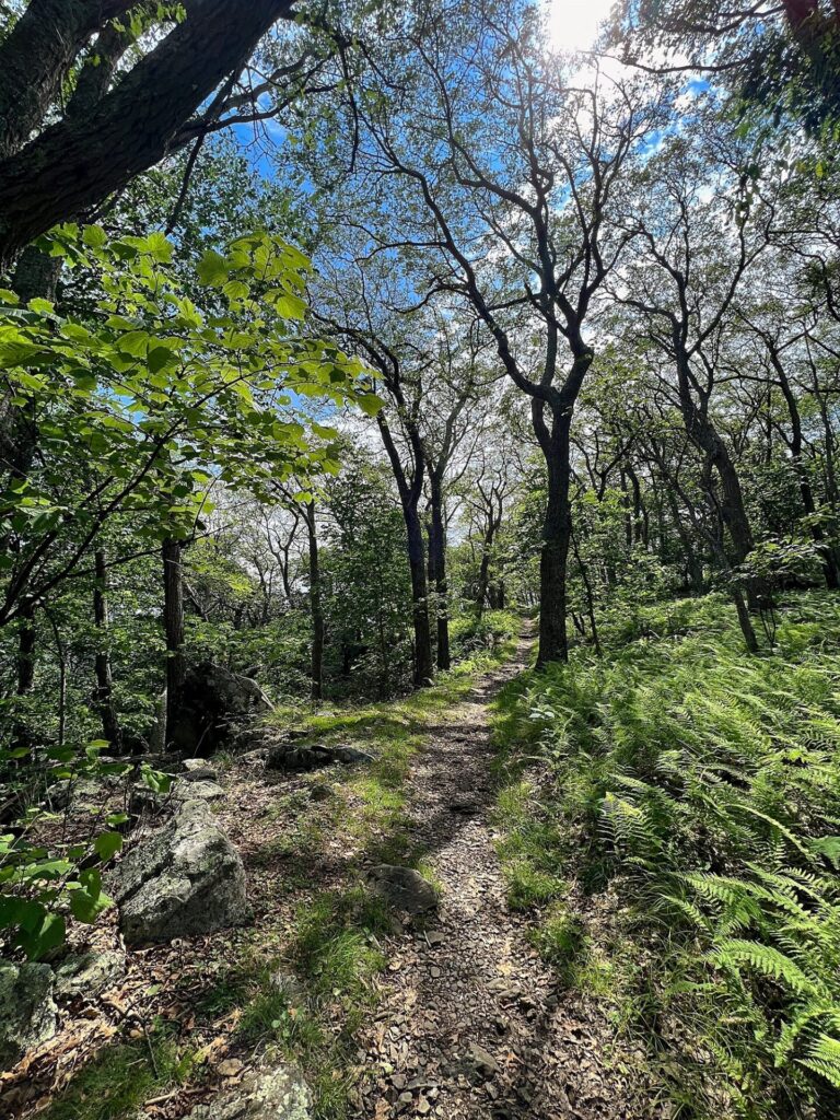 Appalachian Trail