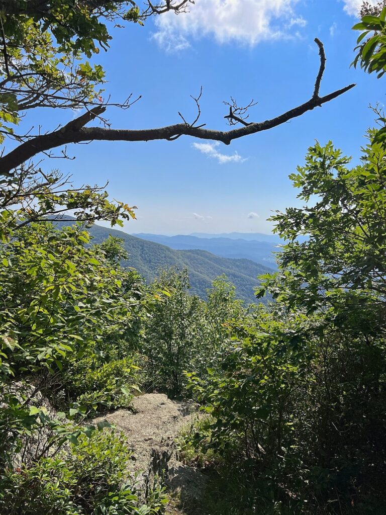 AT in Shenandoah National Park