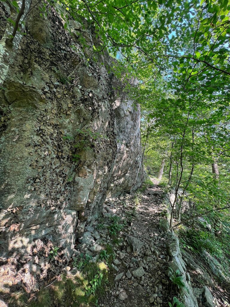 AT in Shenandoah National Park