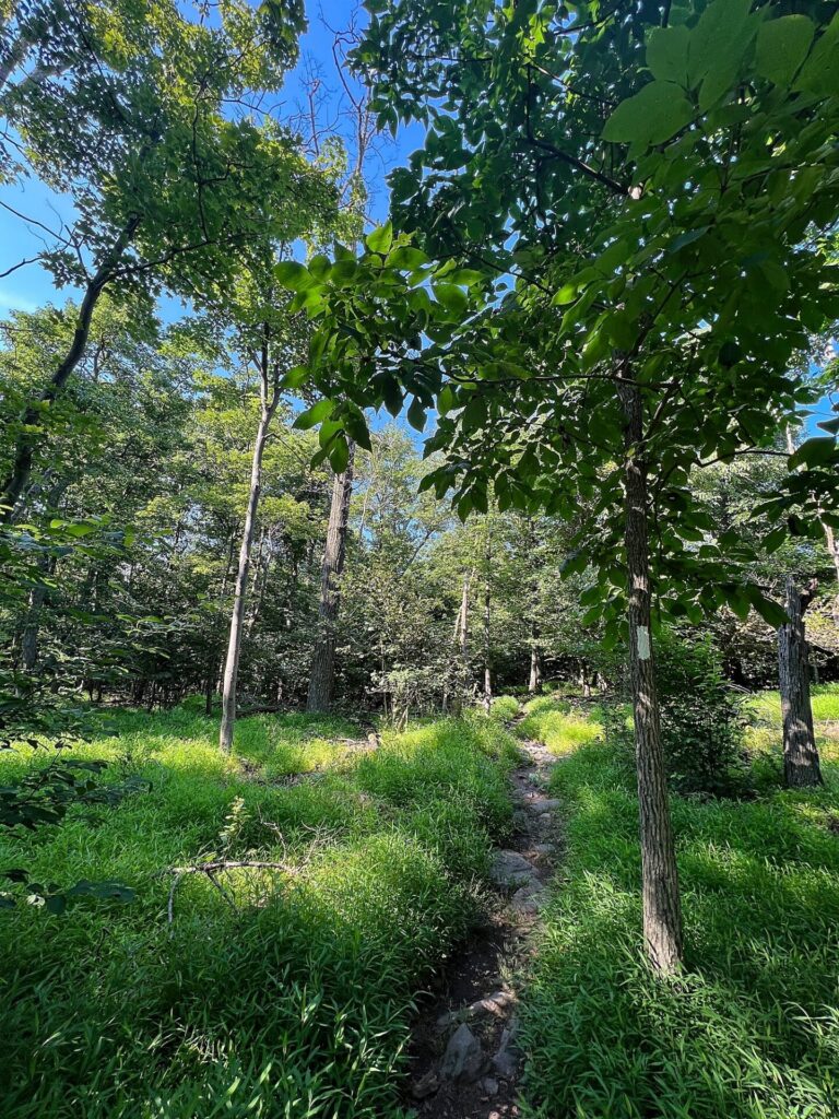 Appalachian Trail