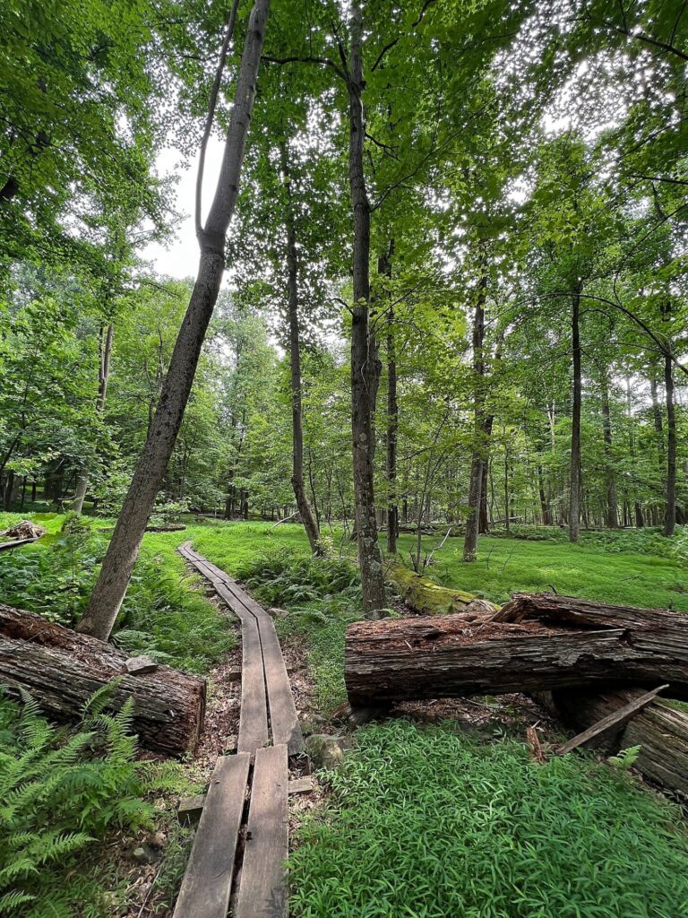 Appalachian Trail
