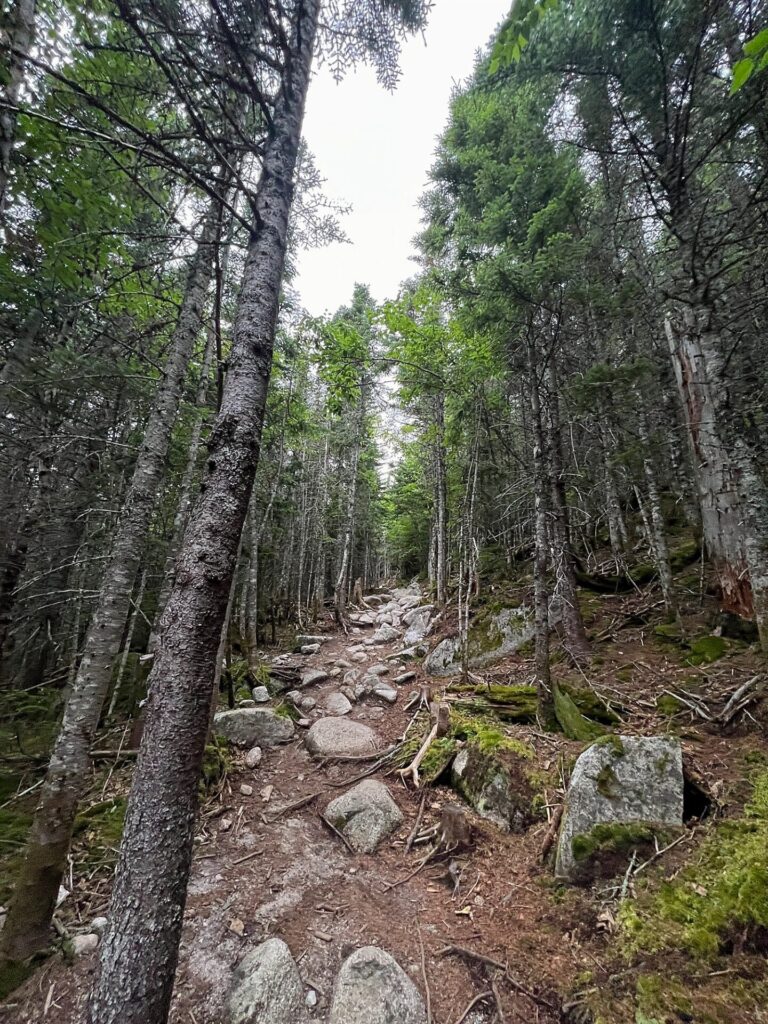 IMG 2894 Mount Katahdin Abol Trail 7