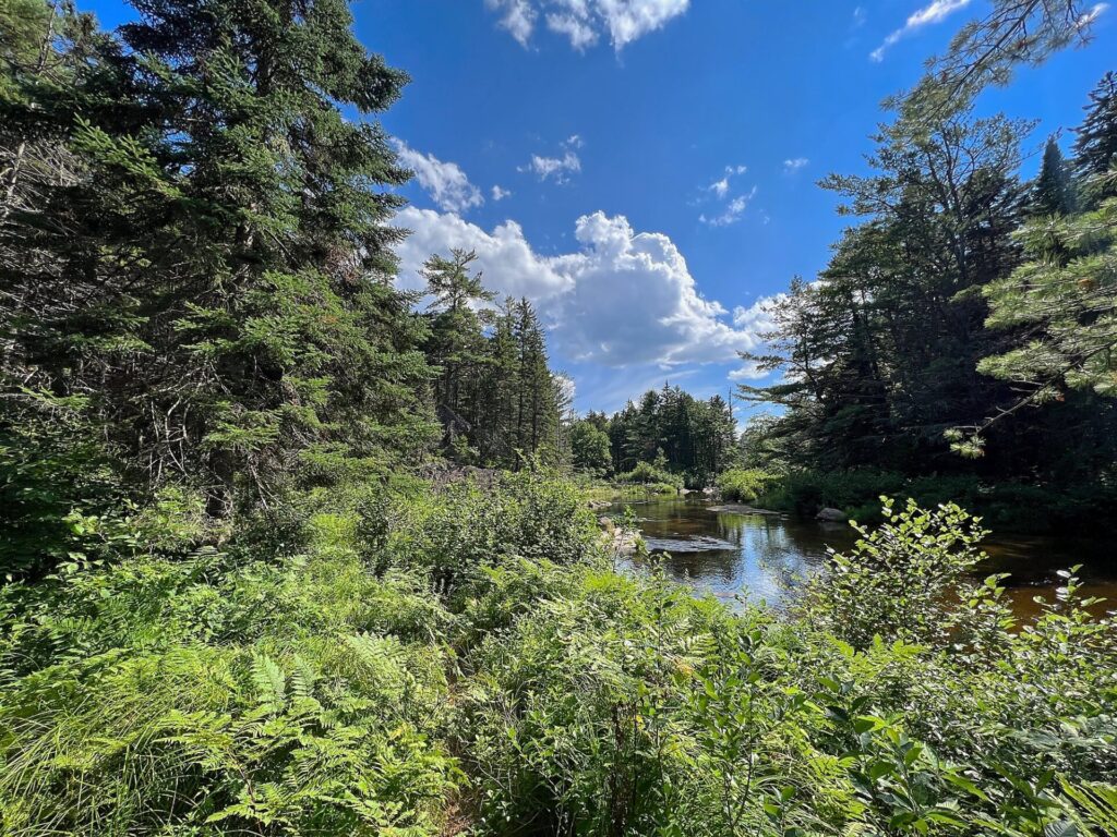 IMG 3081 AT in Maine