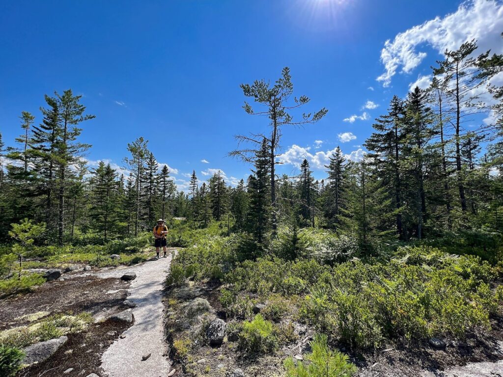 100 mile wilderness in maine