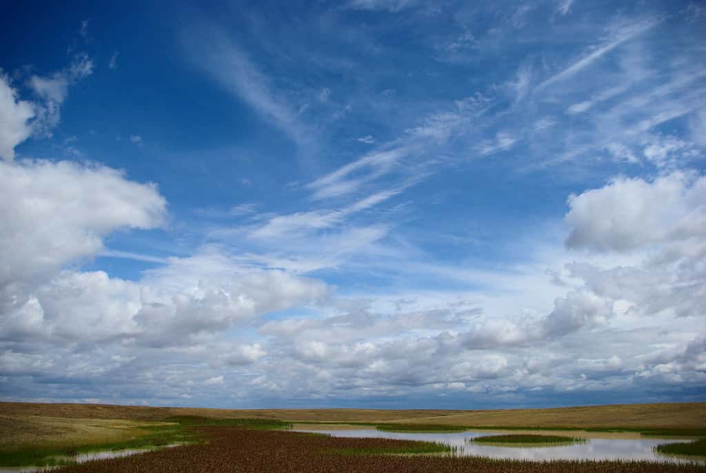 Buffalo Gap National Grasslands