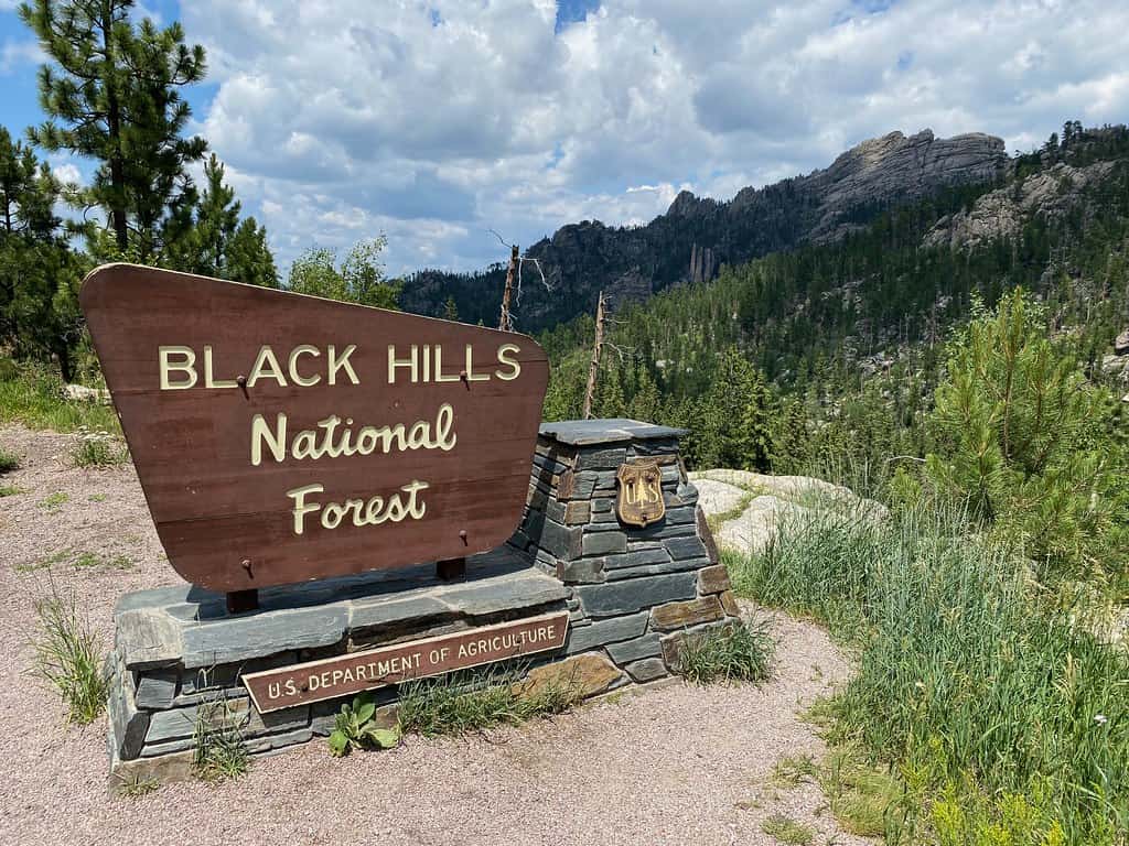 Black Hills National Forest Sign