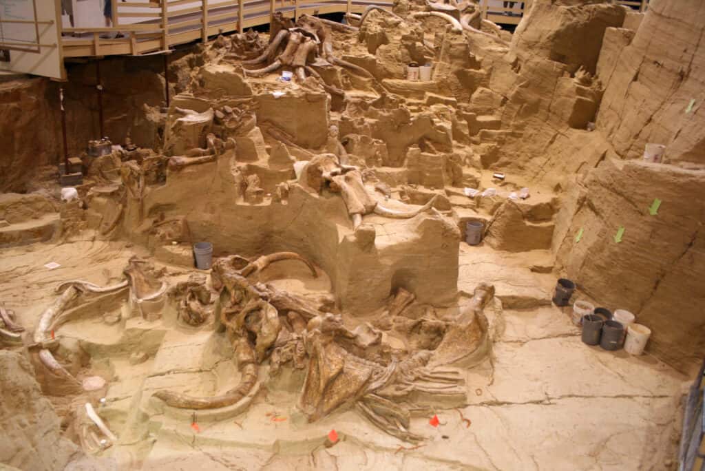 The dig site at the Mammoth Site in the Black Hills