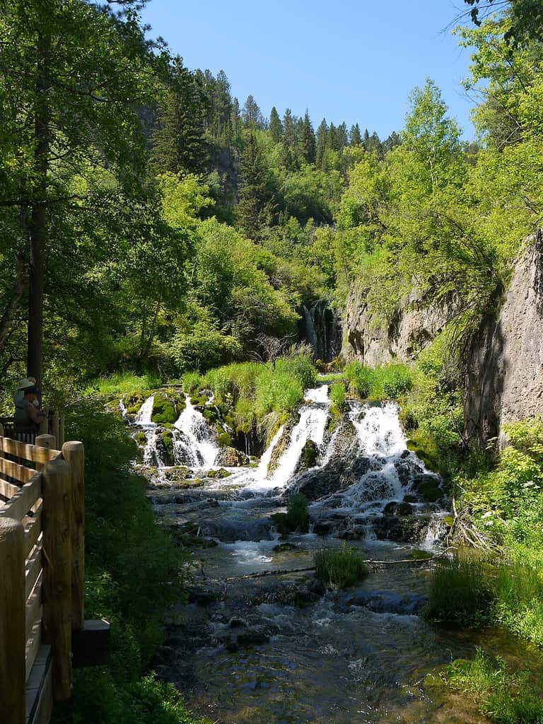Roughlock Falls Nature Trail in the Spearfish Canyon Nature Area