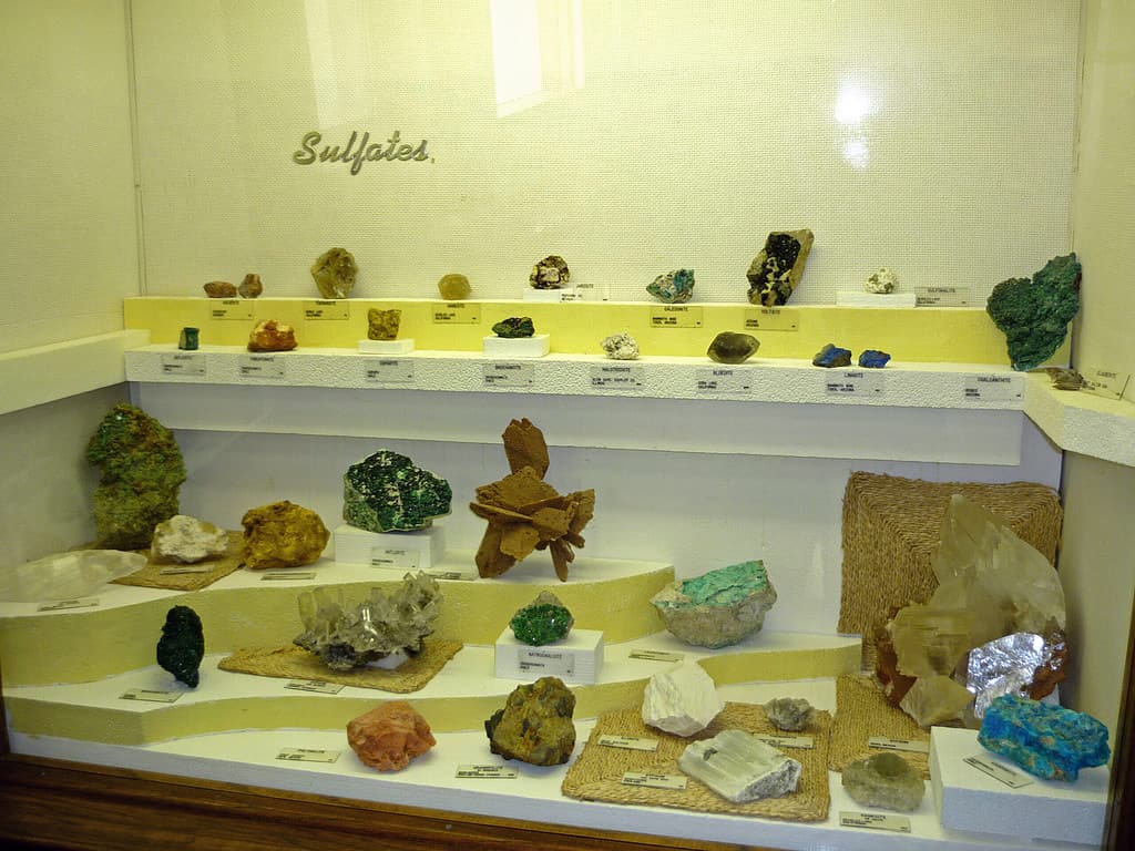 Museum of Geology