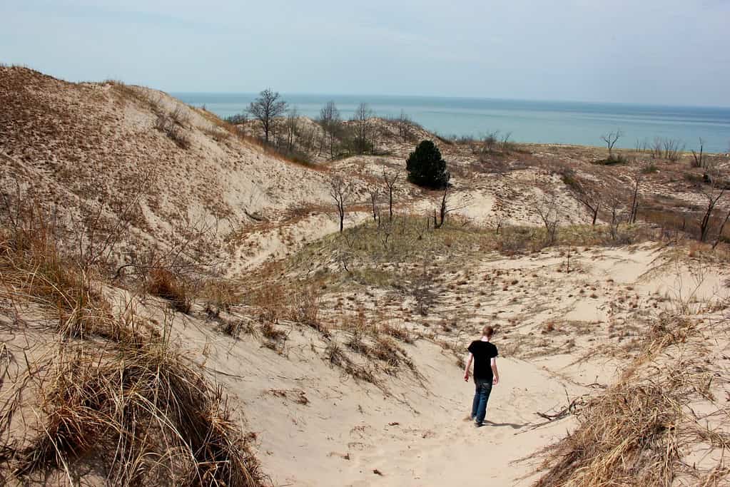 Warren Dunes State Park