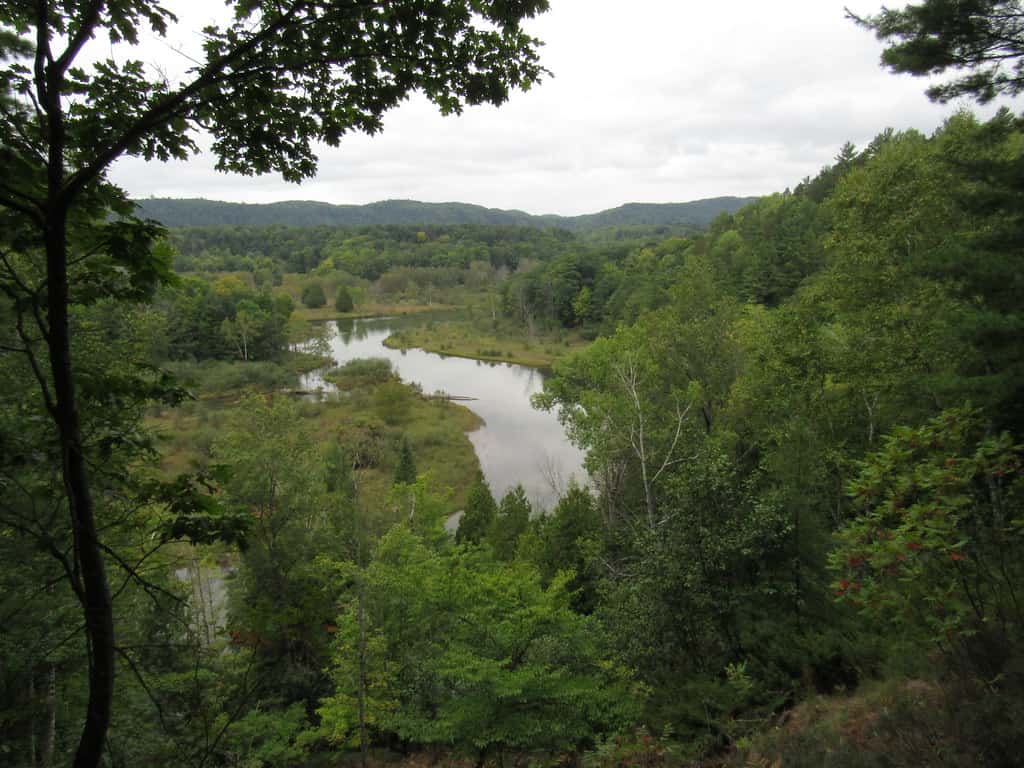 The view from the Manistee River Loop Trail