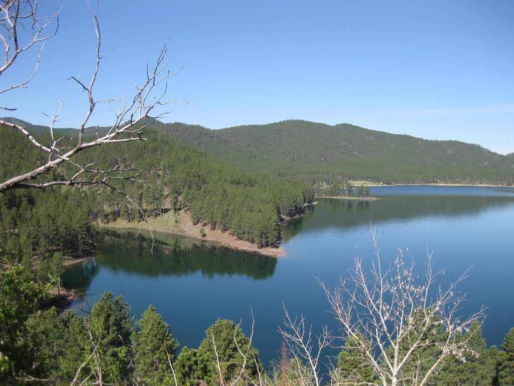 Pactola Reservoir in the Black Hills National Forest