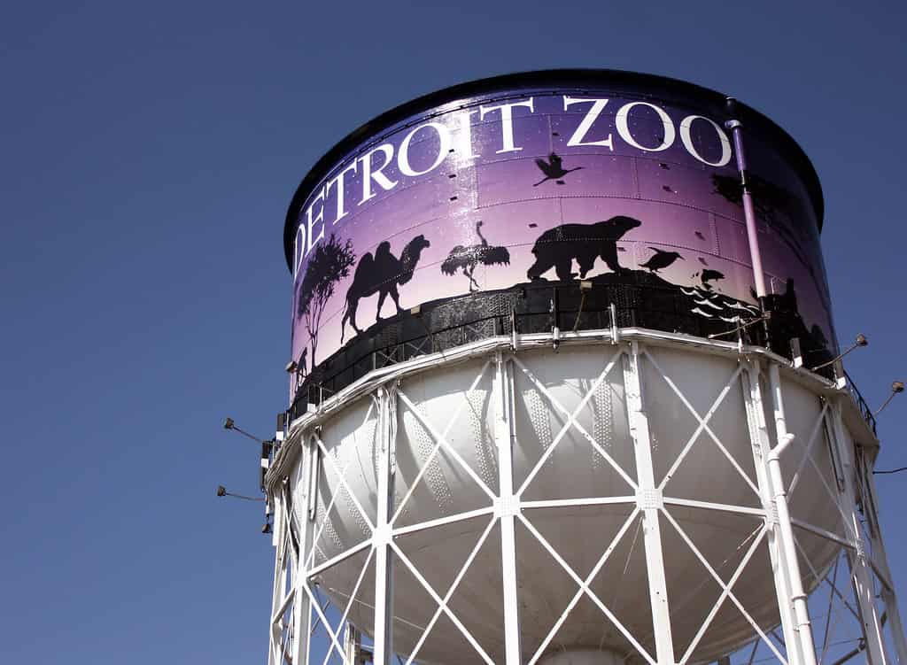 The Detroit Zoo water tower
