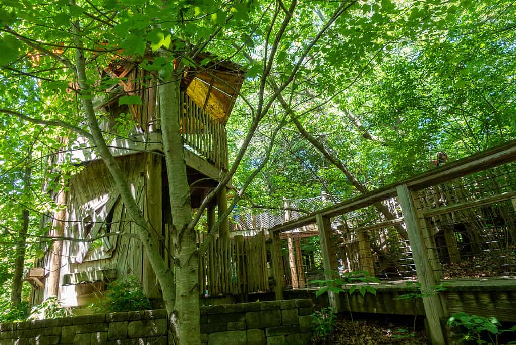 The treehouse for kids at Frederik Meijer Gardens & Sculpture Park