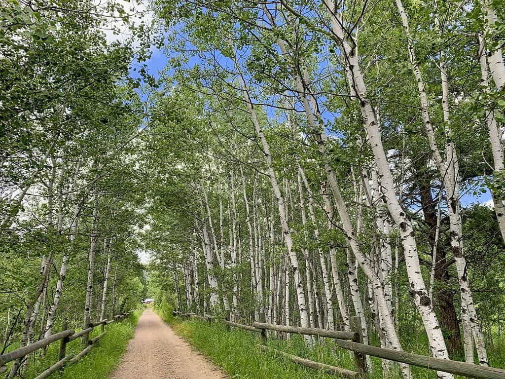 What to do in the Black Hills: Run the George S. Mickelson Trail