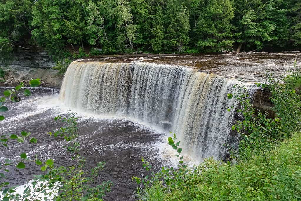 Tahquamenon Falls' Upper Falls